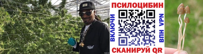 Галлюциногенные грибы MAGIC MUSHROOMS  купить   Нефтеюганск 